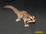 Ashton and Brandee’s standard gray son! Ashton and Brandee’s standard gray son!