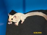 Levon and Porsha’s platinum girl! Levon and Porsha’s platinum girl!